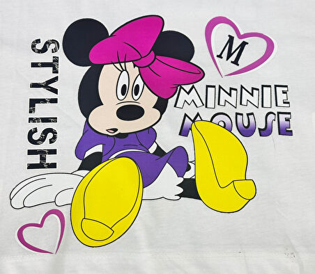 ÜTÜ İLE YAPIŞAN FARE TRANSFER BASKI ARMA 26X26 CM