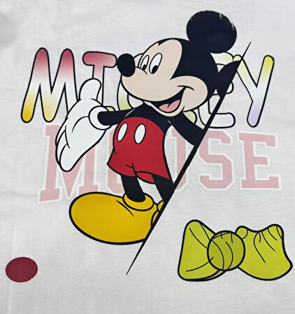 ÜTÜ İLE YAPIŞAN FARE TRANSFER BASKI ARMA 28X25 CM