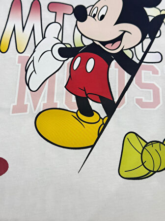 ÜTÜ İLE YAPIŞAN FARE TRANSFER BASKI ARMA 28X25 CM