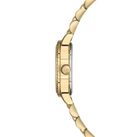 U.S. Polo Assn. USPA2115-04 Kadın Kol Saati