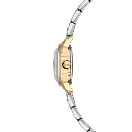 U.S. Polo Assn. Uspa2127-03 Kadın Kol Saati