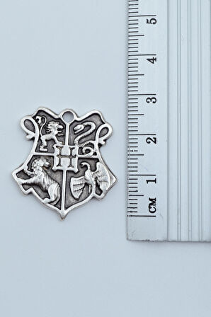 2'li Harry Potter Hogwarts Sembol Şimşek İzi Gümüş Kaplama Kolye Seti