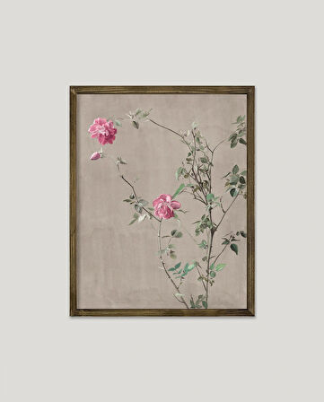 Pembe Güller Çerçeveli Poster