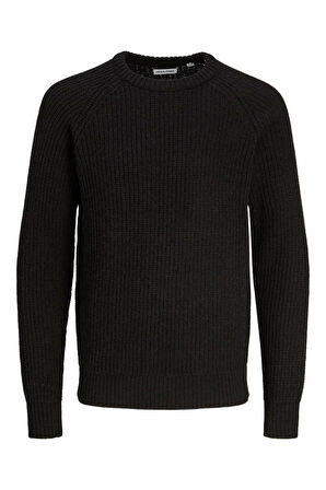 Jack Jones Erkek Örme Kazak JJJONES KNIT CREW NECK 12267393