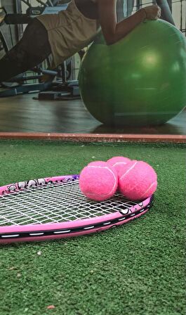 2 Adet Antrenman Tenis Topu Pembe