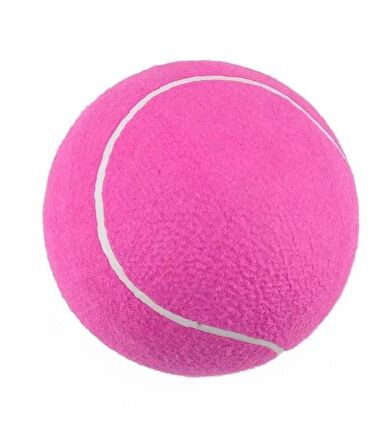 2 Adet Antrenman Tenis Topu Pembe