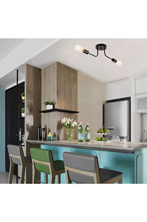 Ceiling Lights 2’li