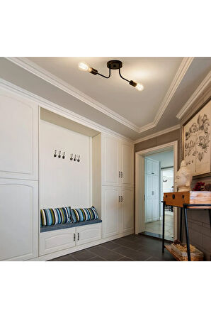 Ceiling Lights 2’li