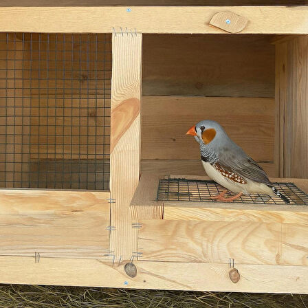 Doğal Ahşap Kuş Yuvası Kafes Çeşitleri Güvercin Kümesi