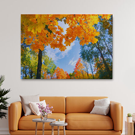 Harita Sepeti Sarı Yapraklı Sonbahar Manzarası Duvar Tablosu-1236