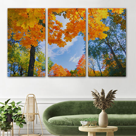 Harita Sepeti Sarı Yapraklı Sonbahar Manzarası Duvar Tablosu-1236