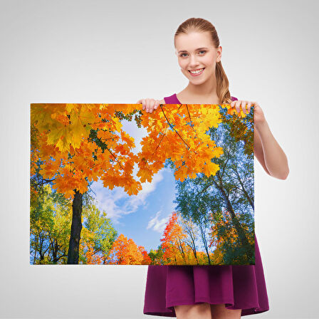 Harita Sepeti Sarı Yapraklı Sonbahar Manzarası Duvar Tablosu-1236