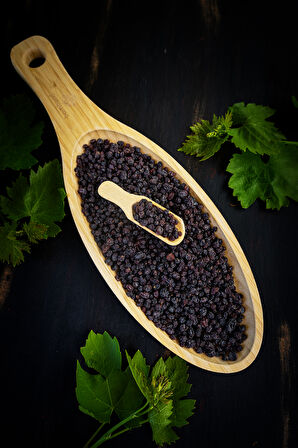 Gülnar Kuşüzümü