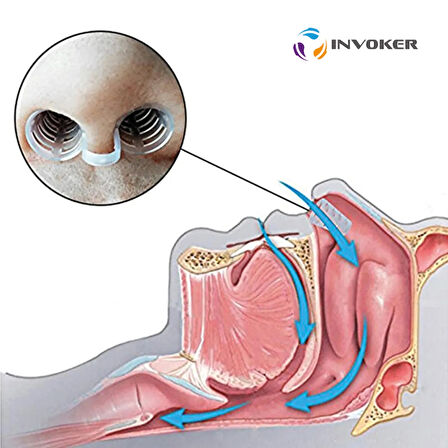 Horlama Önleyici Nazal Dilatör Burun İçi Silikon Apne Aparatı Nostril Burun Nefes Açıcı Silikon File Small 2 Adet