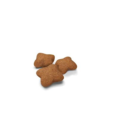 Royal Canin Sterilised Kısırlaştırılmış Yavru Kediler için Kuru Kedi Maması 2kg