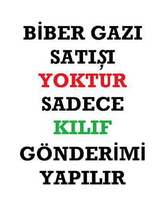 Bayanlar için PEMBE renk Biber gazı KILIFI 40ml (biber gazı satışı yoktur sadece kılıftır)