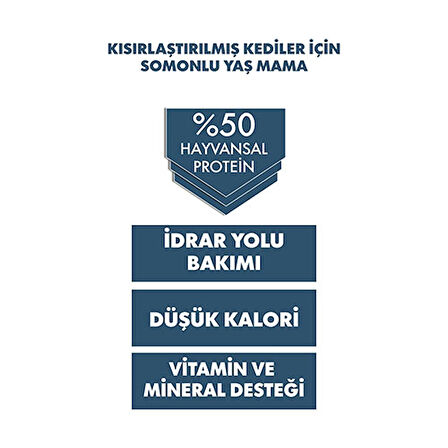 Pro Performance Ultra Premium Somonlu Kısırlaştırılmış Kedi Konservesi 12 Adet 400 Gr 