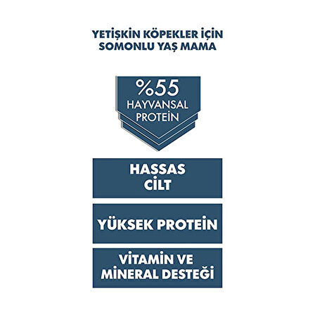 Pro Performance Ultra Premium Somonlu Yetişkin Köpek Konservesi 6 Adet 400 Gr 