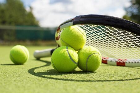 Leyaton Tenis Topu Fileli 12li Sarı LYTLP33