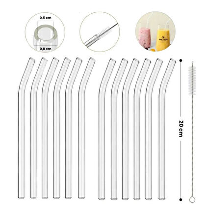 Omnisoft Eğimli Kalın Cam Pipet ve Temizleme Fırçası 12'li