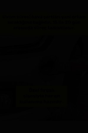 Volkswagen Lb7w Tungsten Gri - Profesyonel Çizik Ve Taş Izi Giderici Rötuş Boyası 30 Ml.