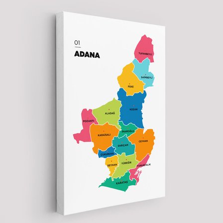 Harita Sepeti Adana İli ve İlçeler Haritası Dekoratif Kanvas Tablo 1248