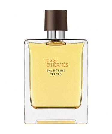 Hermes Terre D'Hermes EDP Çiçeksi Erkek Parfüm 100 ml  