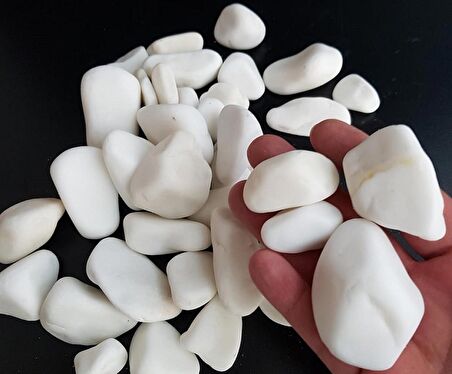 Dolomit Taş Beyaz Taş 1 Kg 2-4 Cm Dere Taşı Çakıl Taşı Dolamit