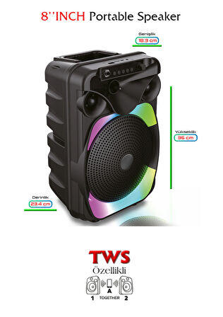 Bluetooth Özellikli Ses Bombası 8 Inch Mikrofonlu Speaker (KLN-170)