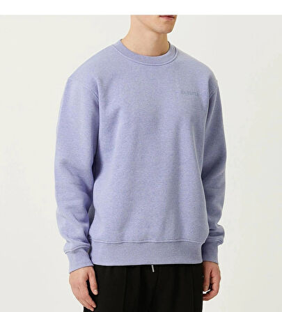 Erkek Bisiklet Yaka Basic Mor Lila 3 İplik İçi Polarlı Şardonlu Sweatshirt