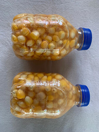 Captain Şişede Doğal Süt Mısır (Yemleme Için)