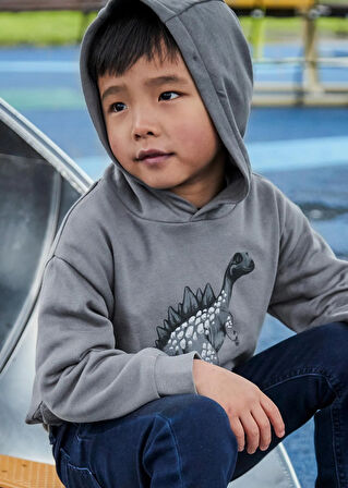 Mayoral Erkek Çocuk Kapşonlu Sweatshirt