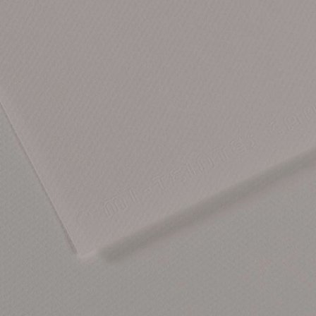 Canson Fon Kartonu (Dokulu) Mı-Teıntes Sh Canmt 50x65 160 GR Grey (10 lu) 186