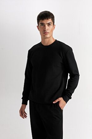 DeFacto Regular Fit Bisiklet Yaka Jakarlı Sweatshirt D5394AX24AUBK27