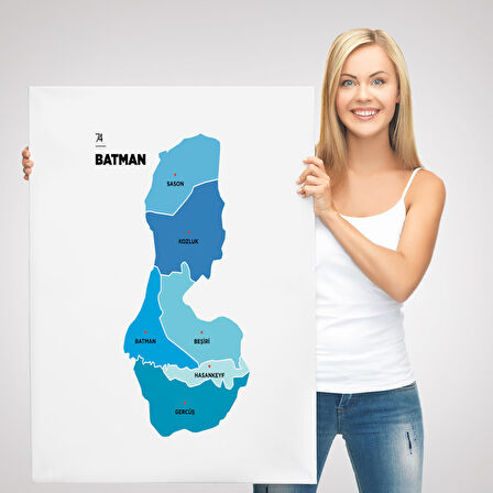 Harita Sepeti Batman İli ve İlçeler Haritası Dekoratif Kanvas Tablo 1287