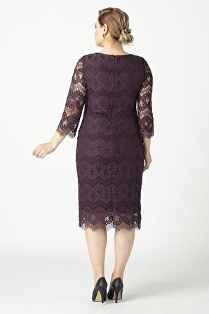 1293 Dantel Elbise Mürdüm Büyük Beden Kısa Abiye