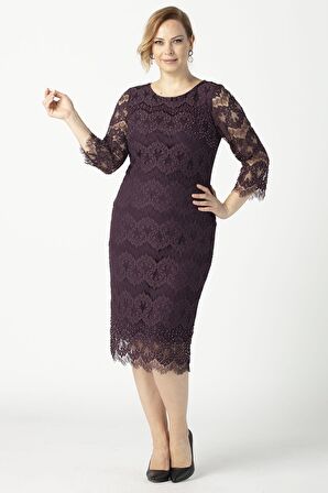 1293 Dantel Elbise Mürdüm Büyük Beden Kısa Abiye