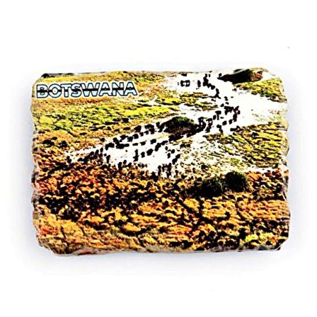 Botsvana Bufalo Temalı Kırık Magnet