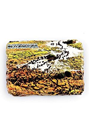 Botsvana Bufalo Temalı Kırık Magnet