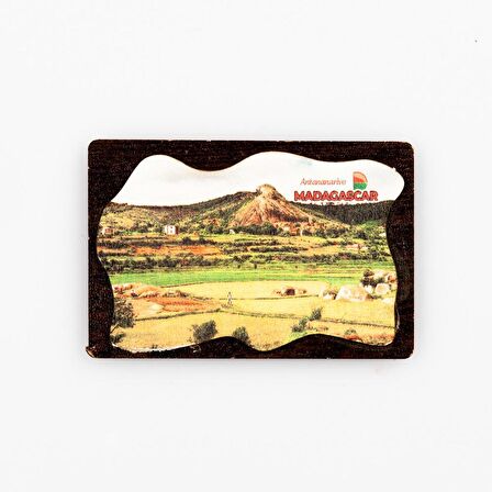 Madagaskar Temalı Deri Magnet Ahşap Tabaka