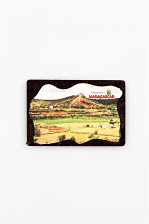 Madagaskar Temalı Deri Magnet Ahşap Tabaka