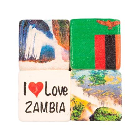 Zambiya Temalı Dörtlü Taş Magnet