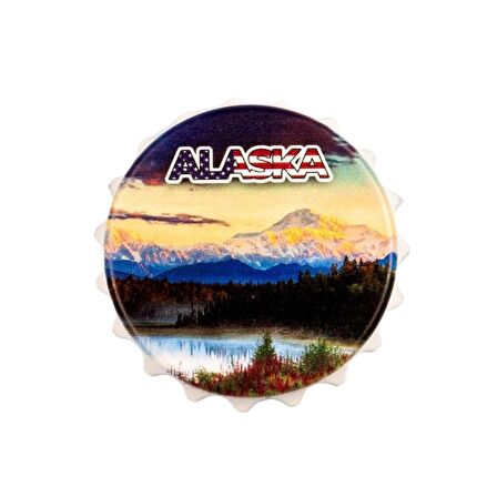 ABD Alaska Magnet Kapak Açacak