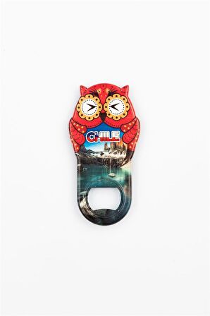 Şili Temalı Baykuş Magnet Kapak Açacak