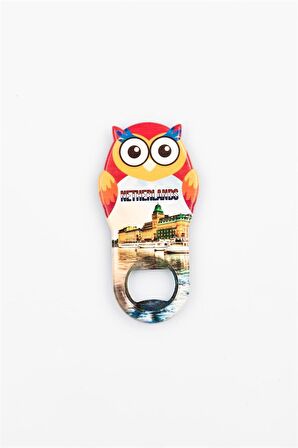 Hollanda Temalı Baykuş Magnet Kapak Açacak