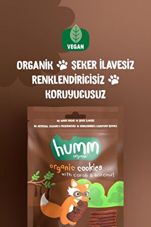 Humm Organic Organik Vegan Keçiboynuzlu ve Fındıklı Kurabiye 55g