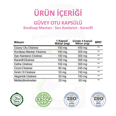 Güvey Otu Kapsül (OREGANO CAPSULE) 60 Adet