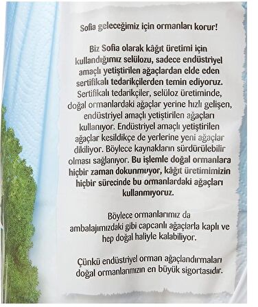 Sofia 12'li Kağıt Havlu