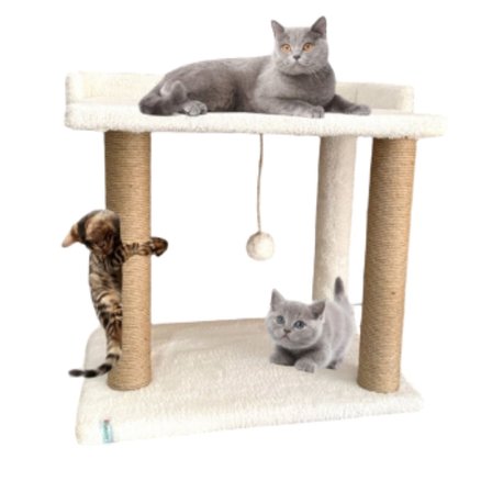 Reyo Pet Teraslı Yataklı Ponponlu Kedi Tırmalaması Beyaz