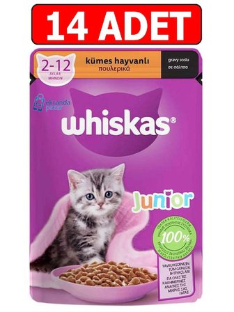 Whiskas Junior Kümes Hayvanlı Yavru Kedi Yaş Maması 85gr 14 Adet